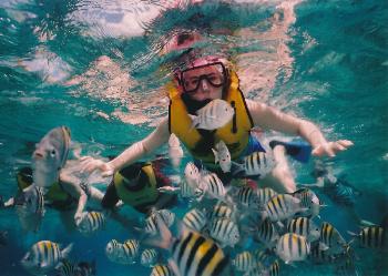 Bootstour zu 4 Inseln - Schnorcheln im Paradies - Krabi