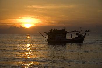 Bild Dschunken-Fahrt, Schnorcheln & Essen - Krabi