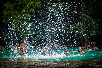Bild Emerald Pool, Hot Springs und Tiger Cave Temple - Krabi