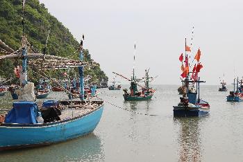 Bild Hochsee-Fischen und Schnorcheln an den vier Inseln - Krabi