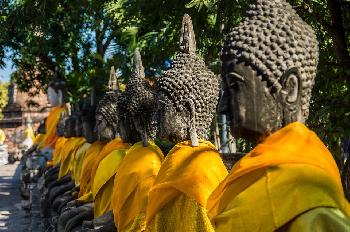 Mit dem Fahrrad ins historische Ayutthaya - Ayutthaya