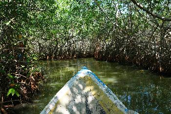 Mit dem Kajak in der Blauen Lagune  & Quad-Tour - Krabi