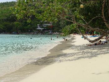 Bild Speedboat-Tour zur Inselgruppe Koh PhiPhi - Krabi