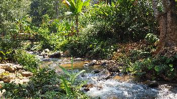 Trekking-Tagestour ins Hochgebirge - Chiang Mai