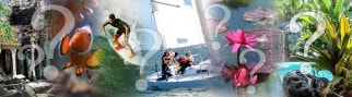 Wohin nach Thailand - der Reisezielfinder Wohin nach Thailand - der Reisezielfinder