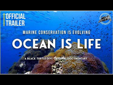 Video Marine Conservation Short Documentary