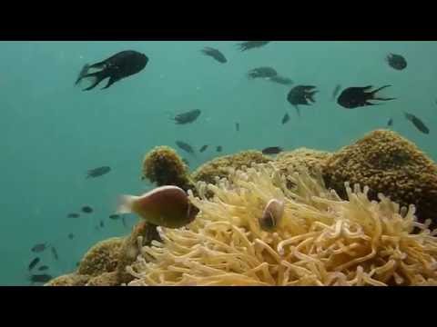Angthong Marine Park - Koh Samui Video