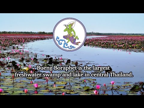 Bueng Boraphet - Nakhon Sawan Video