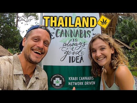 Start Video Cannabis Cafe in Thailand 