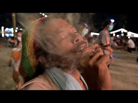 Start Video Celebrations at Thai weed festival 