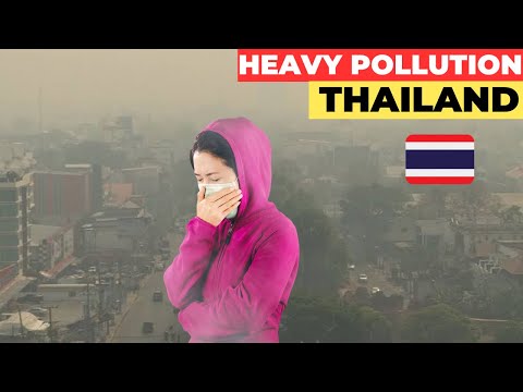 Start Video Chiang Mai Pollution 