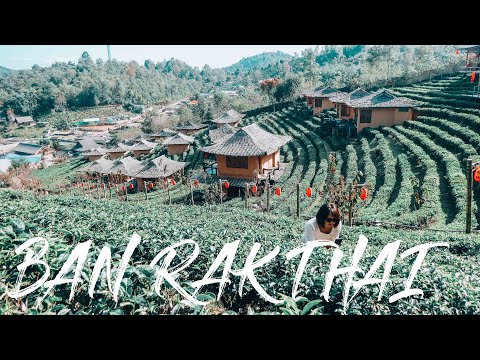 Chinesisches Dorf Ban Rak Thai - Chiang Mai Video