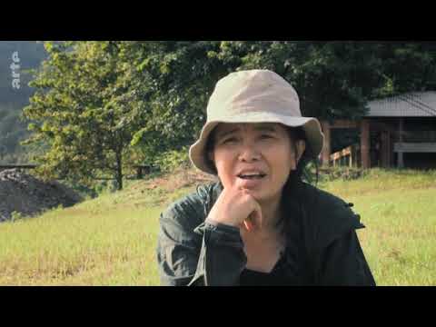 Start Video Elefantenretterin - Spielfilmlnge 