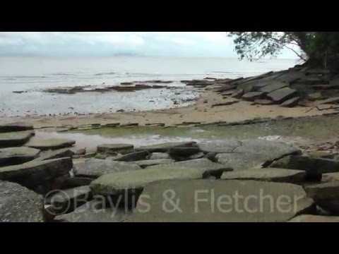 Fossil Shell Cemetery, Susan Hoi - Krabi Video