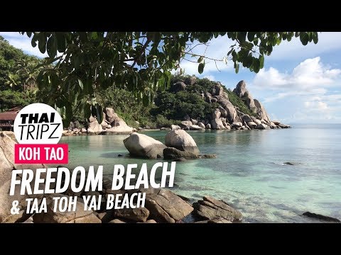 Freedom Beach - Koh Tao - Koh Samui Video