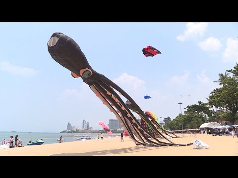 Start Video Kite-flying highlights 
