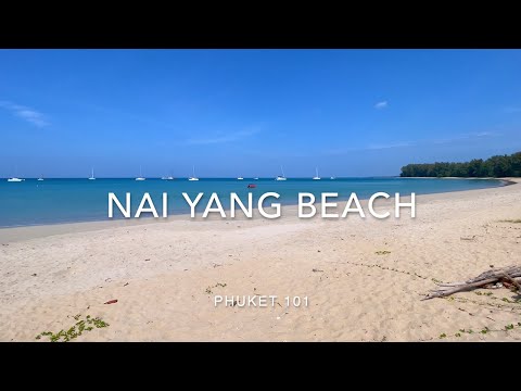 Nai Yang Beach Walking Tour  - Phuket Video