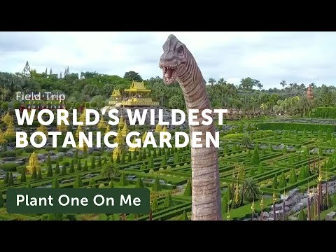 Nong Nooch Tropical Garden - Pattaya Video