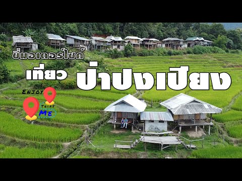 Pa pong pieng, Chiangmai - Chiang Mai Video