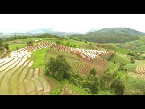 Start Video PaBongPiang 