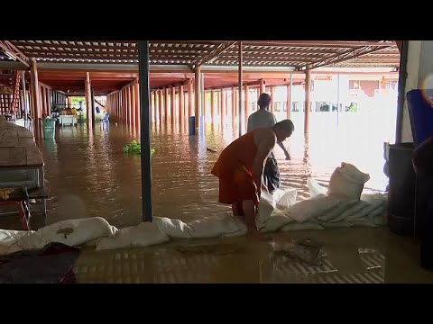 Start Video Paradies unter Wasser - Euronews 