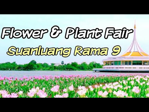 Start Video Pflanzen- und Blumenmesse 