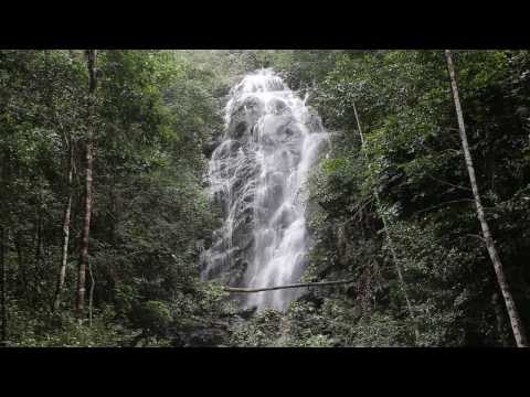 Phaeng Waterfall - Koh Samui Video