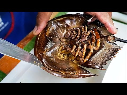 Start Video Thai Essen - Pfeilschwanzkrebs 