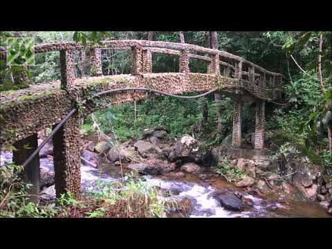 Than Mayom Wasserfall - Koh Chang Video