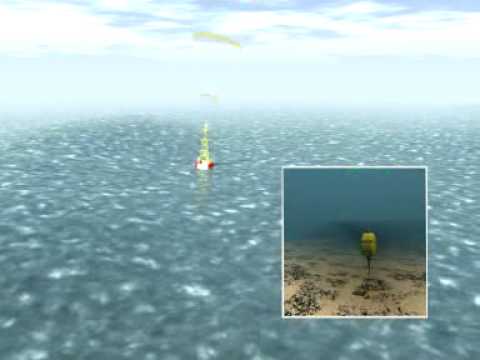 Start Video Tsunami Detection System 