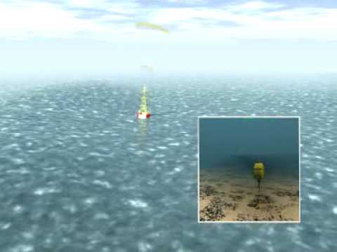 Start Video Tsunami Detection System 