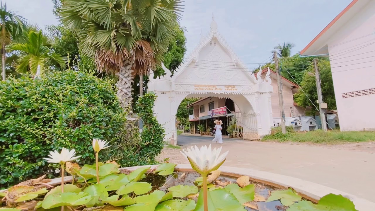 Video des hübschen Tempels - Koh Samui Video