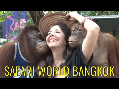 Viele Shows und Attraktionen - Bangkok Video