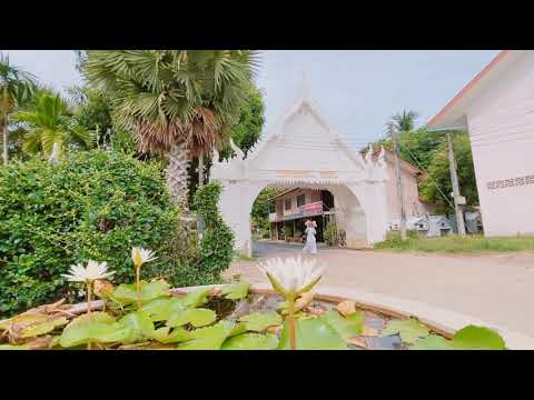 Wat Sawang Arom Chaweng - Koh Samui Video