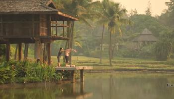 Four Seasons Wellness auf dem Land - Chiang Mai Video