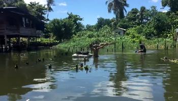 Eine Fahrt durch die kleinen Klongs in Bangkok - Bangkok Video