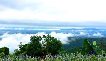 Impressionen und Sehenswertes in Chiang Rai - Chiang Mai Video