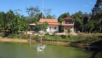 Krabi Bungee Jump - Krabi Video