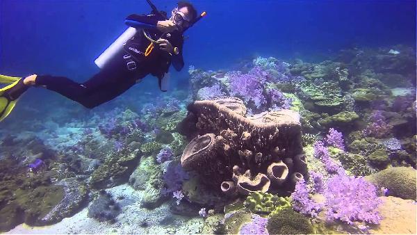 Play Atemberaubender Tauchspot bei Koh Lipe