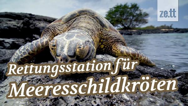 Play Mai Khao Schildkrten-Rettungsstation